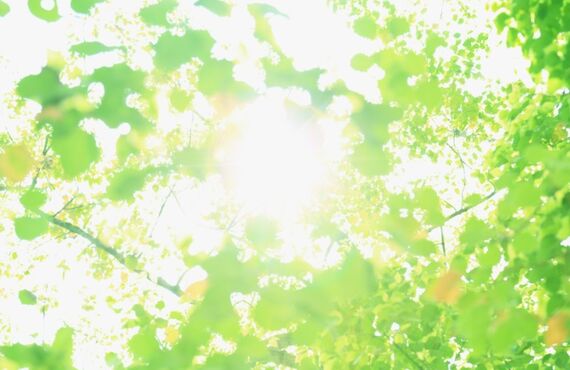 東京　建設　経験者優遇　溶接工大歓迎